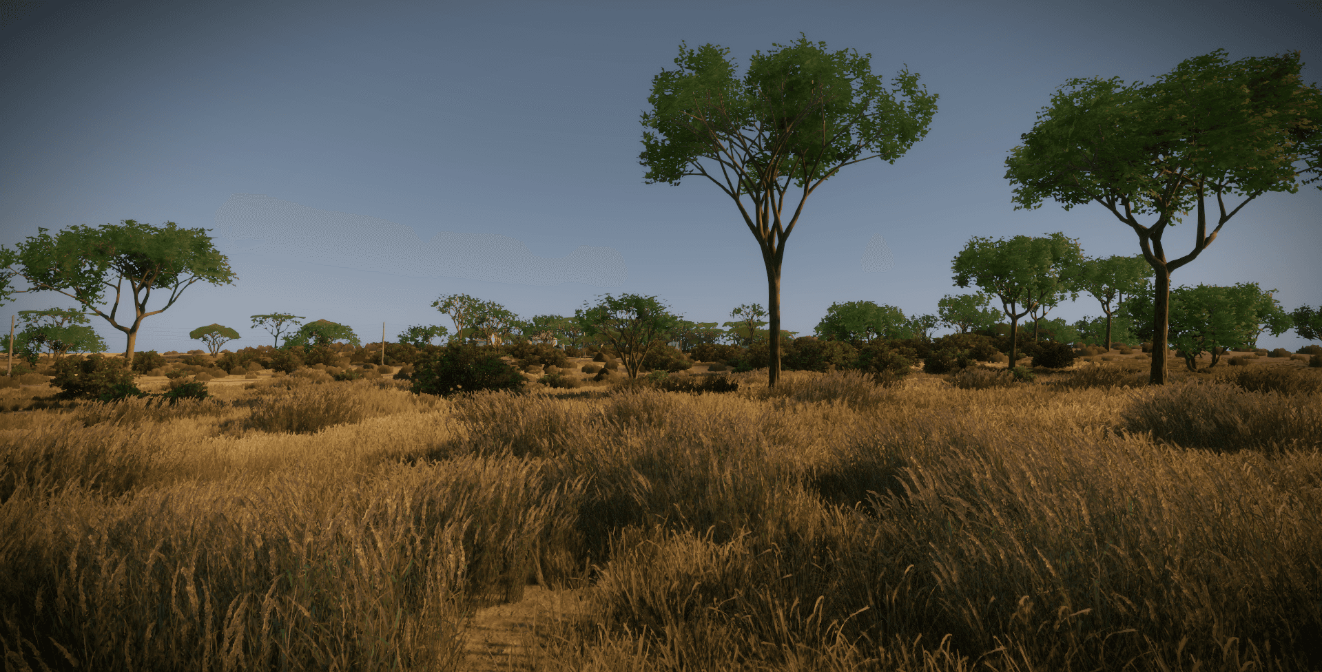 Savannah terrain
